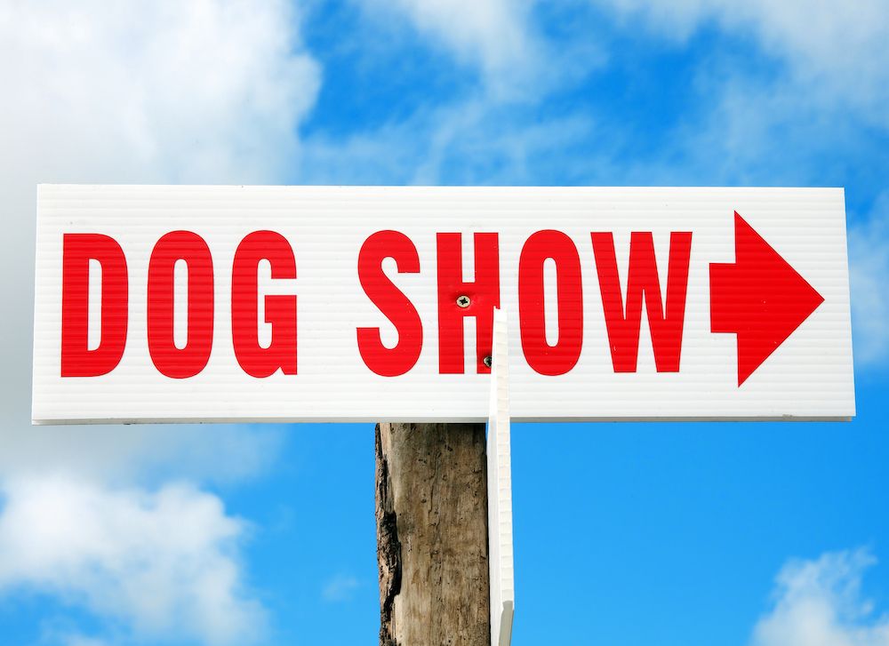 Editorial: March 19, 2021